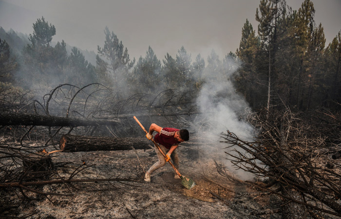 В Турции удалось потушить большинство лесных пожаров
