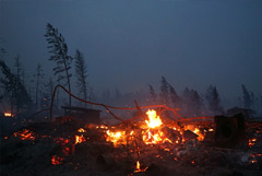 Путин поручил выделить из резервного фонда допсредства для тушения пожаров