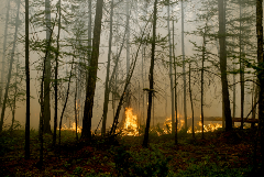 Дым от лесных пожаров сохраняется в 869 населенных пунктах Красноярского края