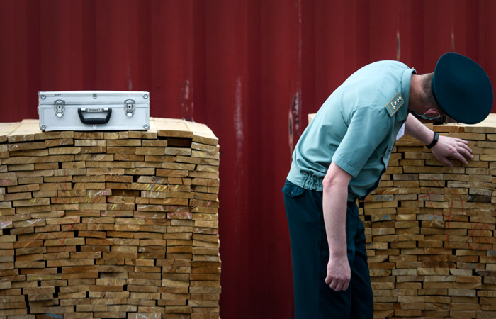 На иркутского предпринимателя завели 12 дел о контрабанде леса в Китай