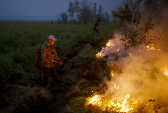 Природные пожары на площади более 430 тыс. га ликвидированы в Якутии за сутки