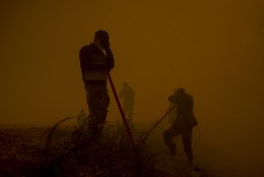 Путин назвал беспрецедентным масштаб природных бедствий в регионах РФ