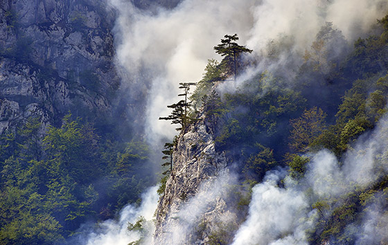 Фотохроника 16 августа