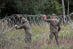 Минобороны Польши задумало построить стену на границе с Белоруссией