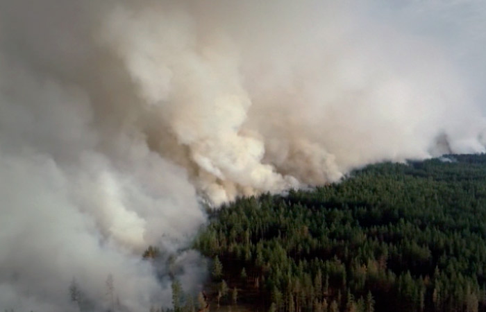 Прокуратура проверит действия самарских властей на фоне пожара в нацпарке