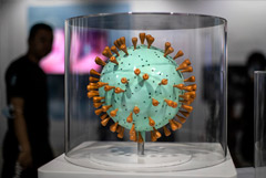 В центре "Вектор" сообщили о разработке универсальных антител ко всем штаммам COVID