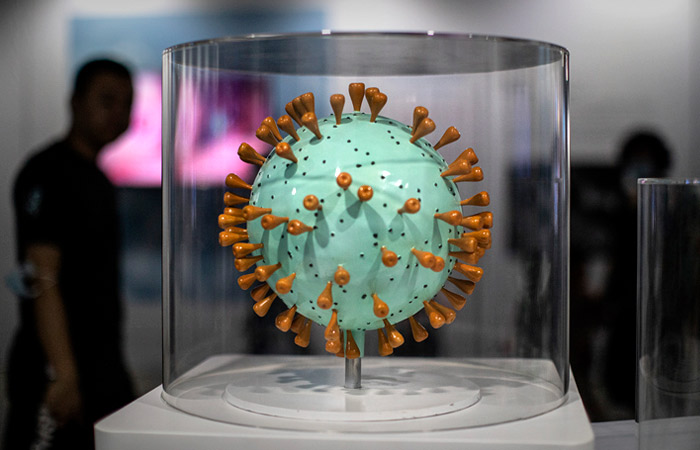 В центре "Вектор" сообщили о разработке универсальных антител ко всем штаммам COVID