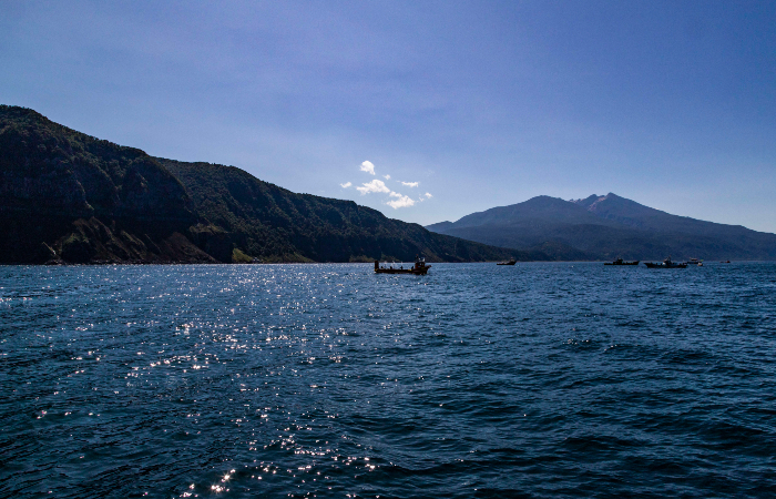 В Охотском море задержали браконьеров с крабами на сумму свыше 7 млн рублей