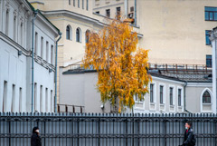 Осень в Москве начнется с температуры ниже климатической нормы