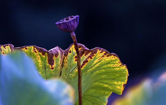 Фотохроника 10 сентября