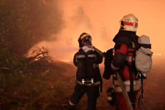 Пожарные спустя месяц смогли потушить крупный пожар в Мордовском заповеднике