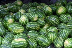 "Магнит" продал 73 т арбузов из партии, которой предположительно отравились люди