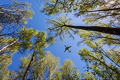 S7 вслед за "Победой" объявила распродажу билетов