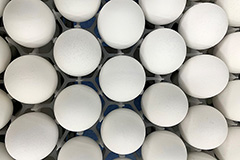 Минсельхоз не увидел существенного роста цен на птицу и яйца в РФ