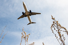 РФ с 5 октября возобновляет авиасообщение еще с пятью странами