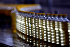 Ценовые соглашения на подсолнечное масло прекращаются в РФ с 1 октября