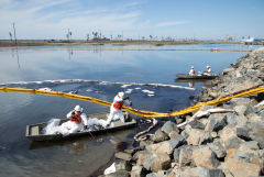 Власти Калифорнии назвали экологической катастрофой разлив нефти у побережья штата