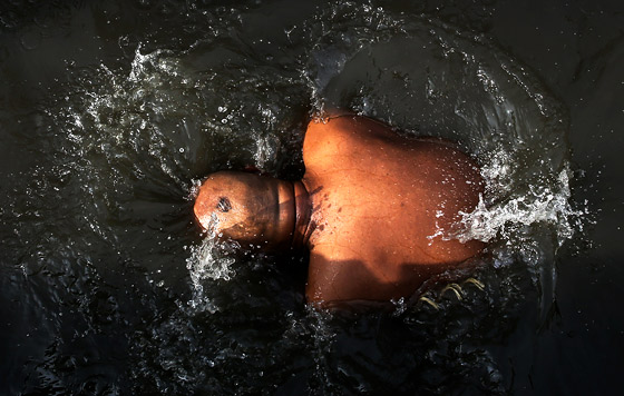 Фотохроника 6 октября