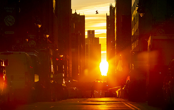 Фотохроника 12 января