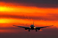 Россия в ноябре возобновит авиасообщение еще с девятью странами