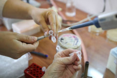 Гинцбург заявил, что российские вакцины от COVID-19 проходят строгую проверку