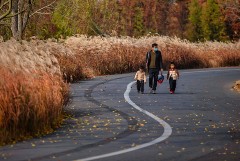 Власти Китая пообещали облегчить жизнь школьникам