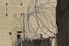 ФСИН опровергла информацию о попытке массового суицида в калужской колонии