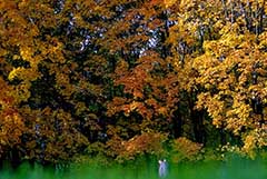 Москвичам пообещали теплую солнечную погоду в конце октября - начале ноября