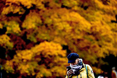 Вильфанд отказался называть грядущее потепление в Москве "бабьим летом"