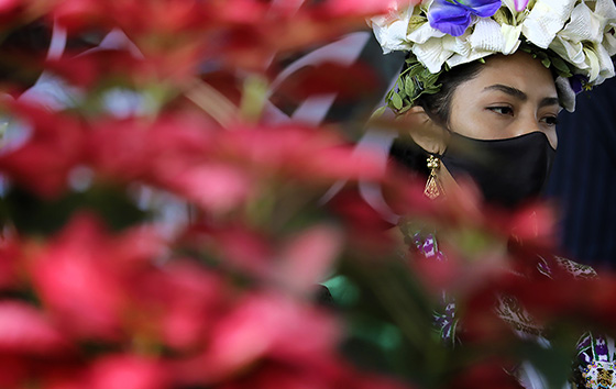 Хроника коронавируса. Ноябрь.