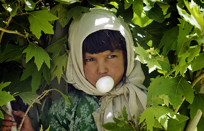 Что произошло в мире науки. Вечерний дайджест