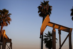 Цены на нефть снизились более чем на 2,5% после выхода данных о запасах в США