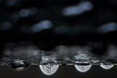 Москвичам пообещали теплую, но дождливую погоду до конца недели