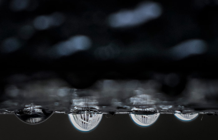 Москвичам пообещали теплую, но дождливую погоду до конца недели