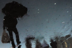 Мокрый снег с дождем ожидается в Москве