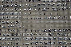 В "АвтоВАЗе" сочли, что мировой дефицит чипов продлится минимум до середины 2022 г.