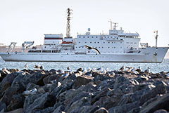 Ученые с задержанного в Дании "Академика Иоффе" возвращаются в Россию