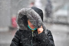 МЧС приводит в готовность дополнительные силы в Московском регионе из-за непогоды