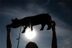 Минсельхоз допустил досрочную остановку льготного импорта свинины в 2022 году