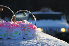 Важность традиционных ценностей отразят в Основах государственной культурной политики РФ