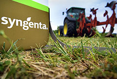 Швейцарская Syngenta открыла под Воронежем первый в РФ институт защиты семян