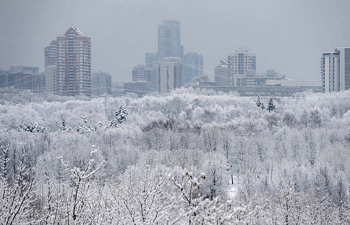 Московские школьники могут не ходить на уроки при температуре - 25 и ниже