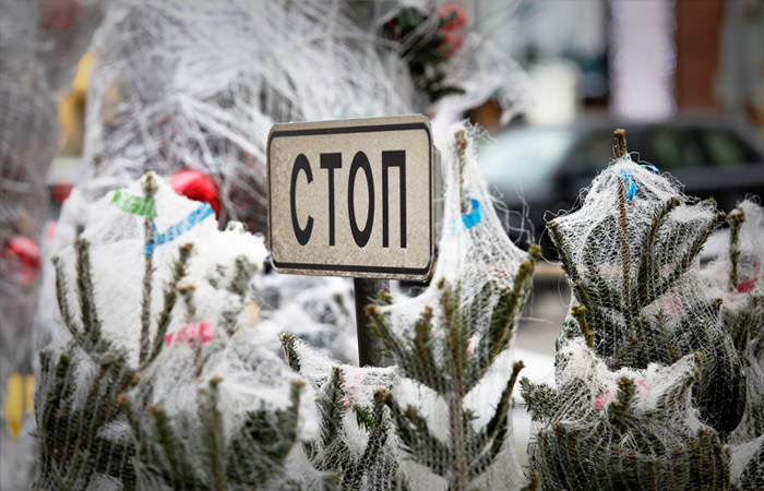 В Москве открылись елочные базары