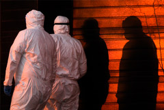 Общее число жертв COVID-19 в России превысило 300 тысяч