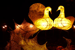 В США подорожал подарочный набор из песни "Двенадцать дней Рождества"