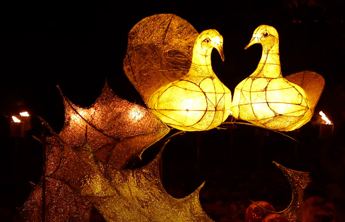 В США подорожал подарочный набор из песни "Двенадцать дней Рождества"