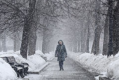 МЧС предупредило москвичей о возможной в ближайшие часы метели