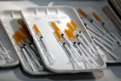 В Японии сообщили о проведении доклинических испытаний российских вакцин от COVID