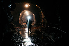 Желруда подорожала до пика с октября на данных о замедлении инфляции в Китае