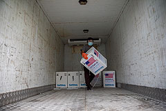 По программе COVAX в бедные страны поступил 1 млрд доз вакцин от COVID-19